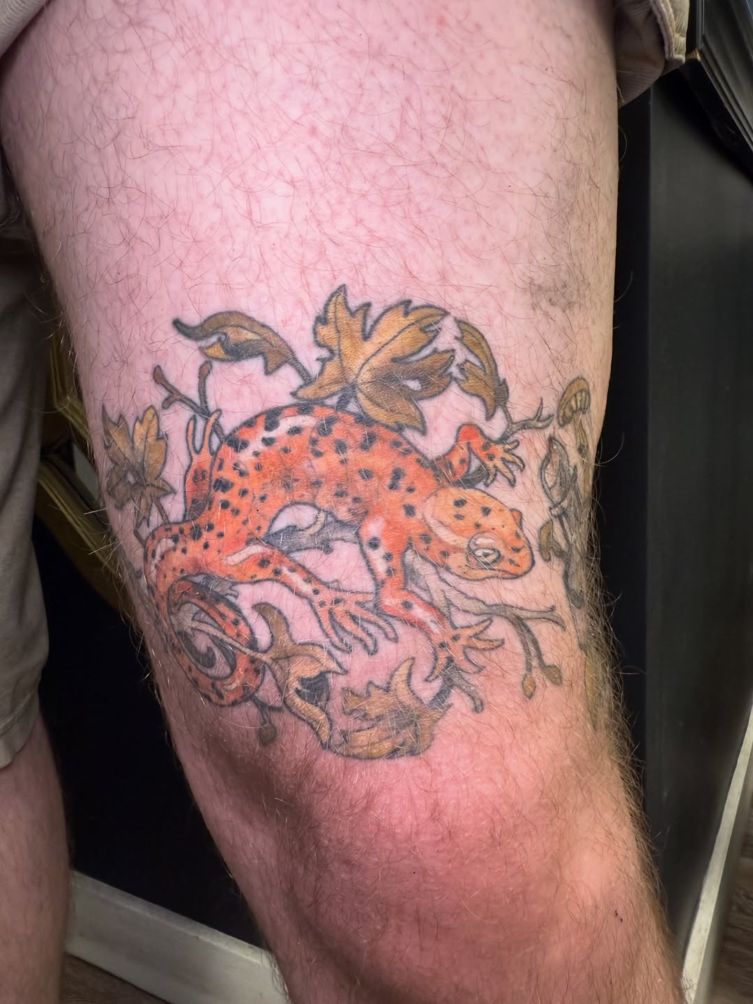 Tattoo by @scaledxwingstattoo — illustrative, neo_traditional