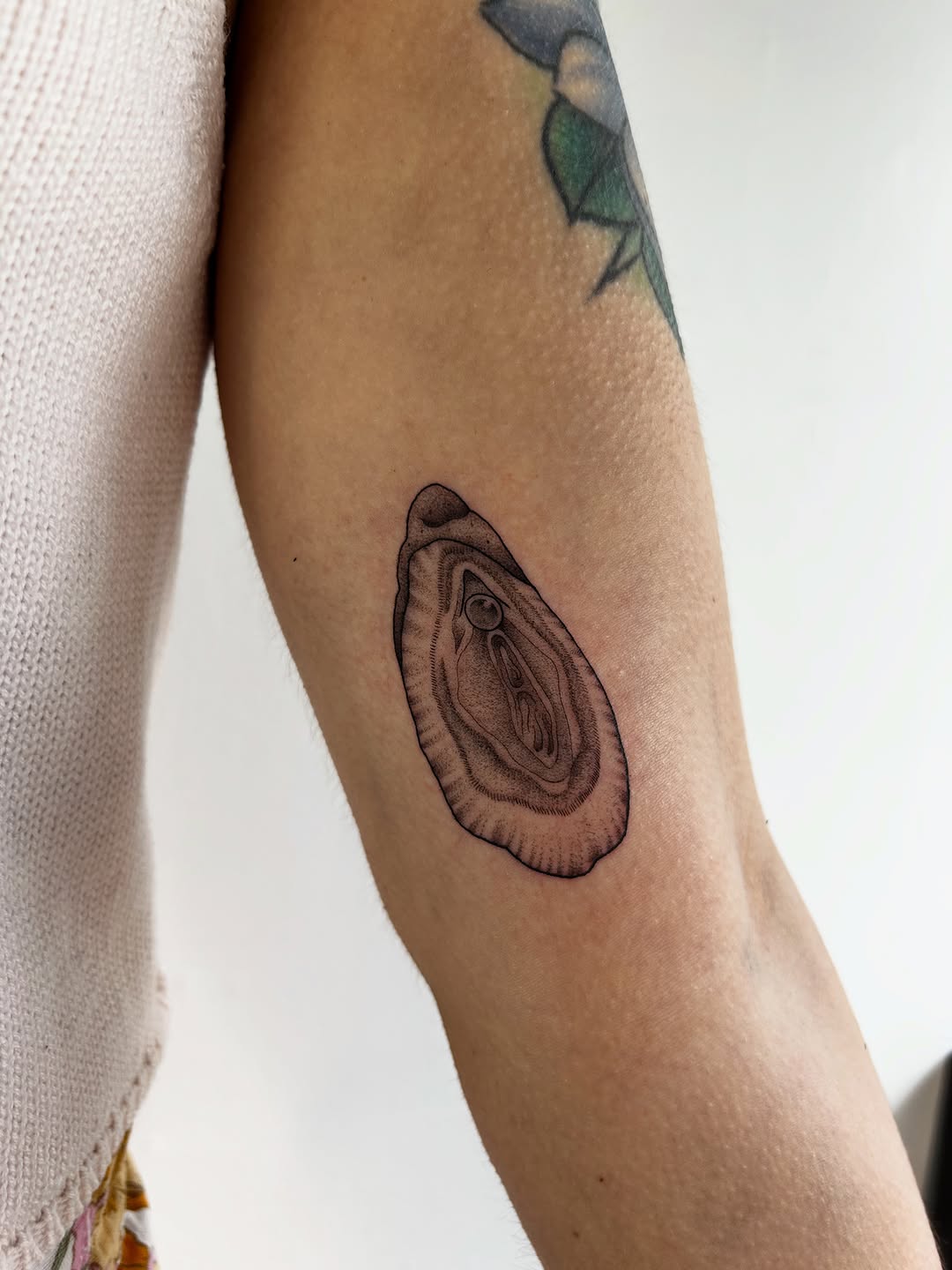 Tattoo by @bria.tattoos — black_and_grey, dotwork