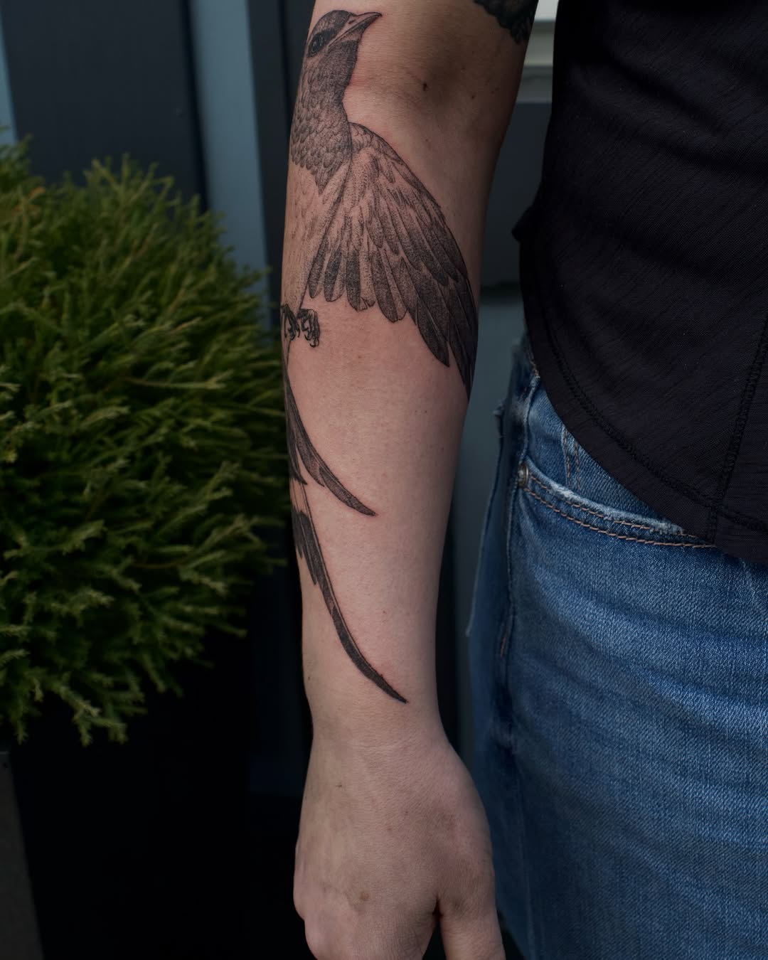 Tattoo by @kevinrotramel — black_and_grey