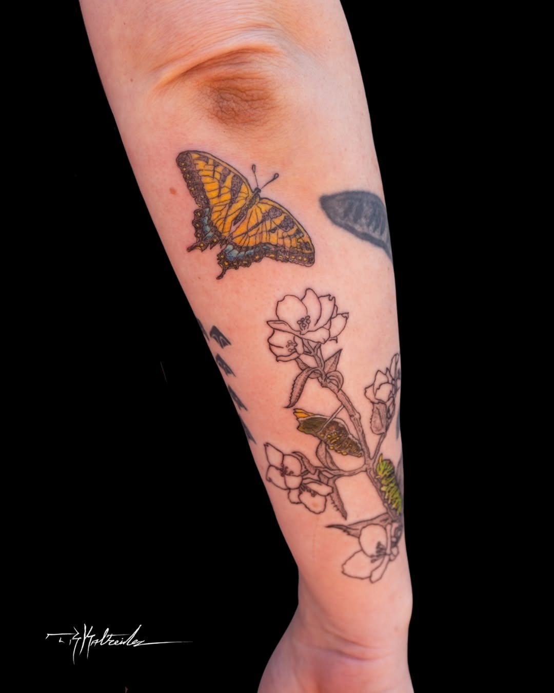 Tattoo by @trkaltreider — fine_line, illustrative