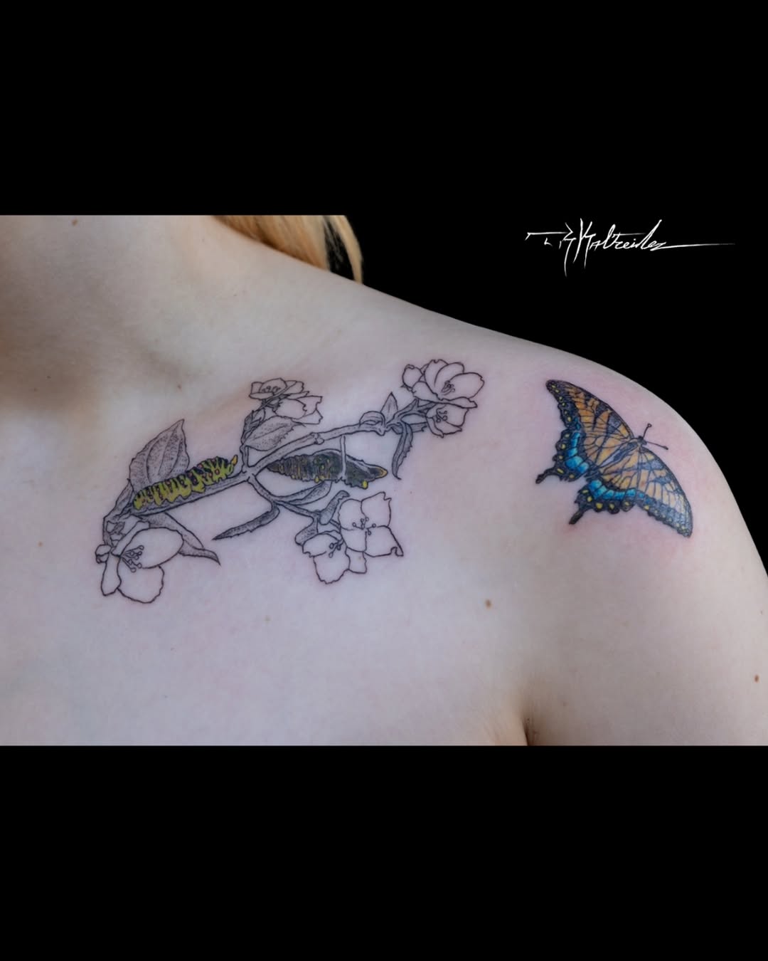 Tattoo by @trkaltreider — fine_line, illustrative