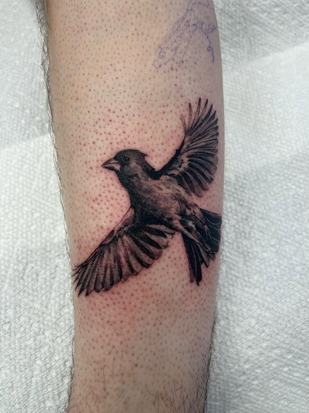 Tattoo by @zaktats — realism, black_and_grey