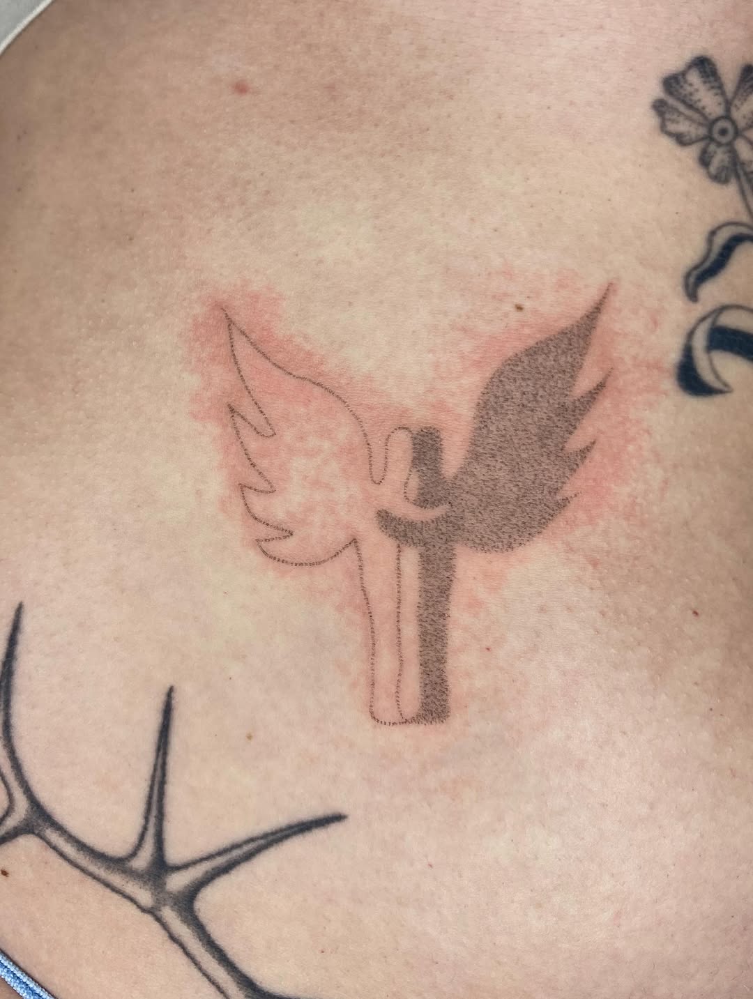 Tattoo by @hot_paws_pokes — dotwork