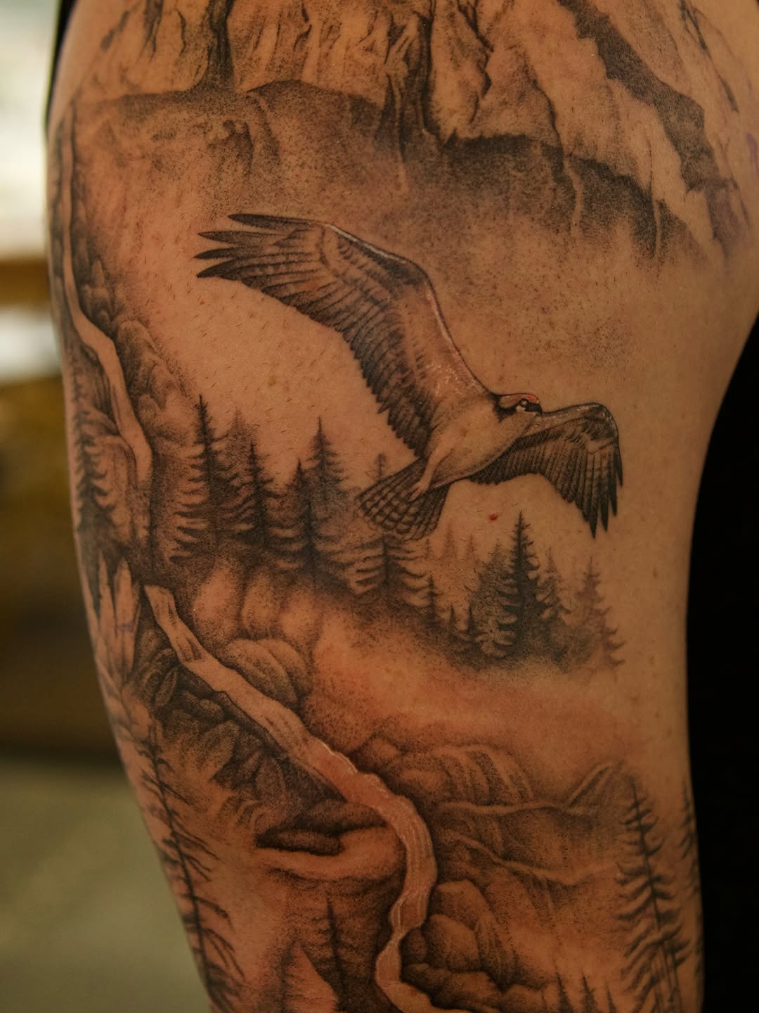 Tattoo by @quindaytattoos — realism, black_and_grey