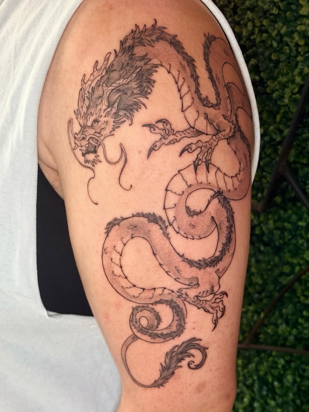 Tattoo by @frogtatz — japanese_irezumi, illustrative