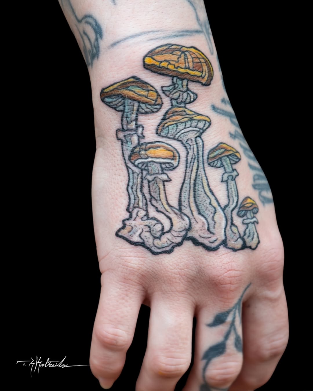 Tattoo by @trkaltreider — new_school, illustrative