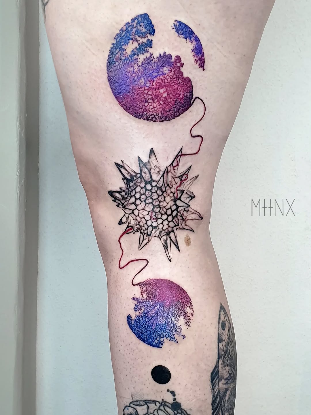 Tattoo by @mattynox — black_and_grey, dotwork