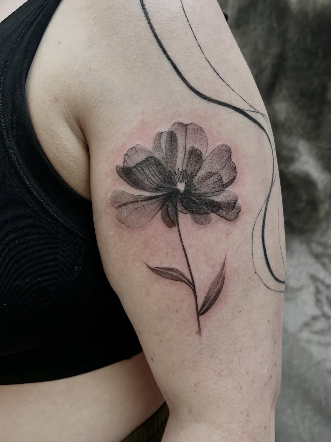 Tattoo by @lo_gwynn_ink — black_and_grey