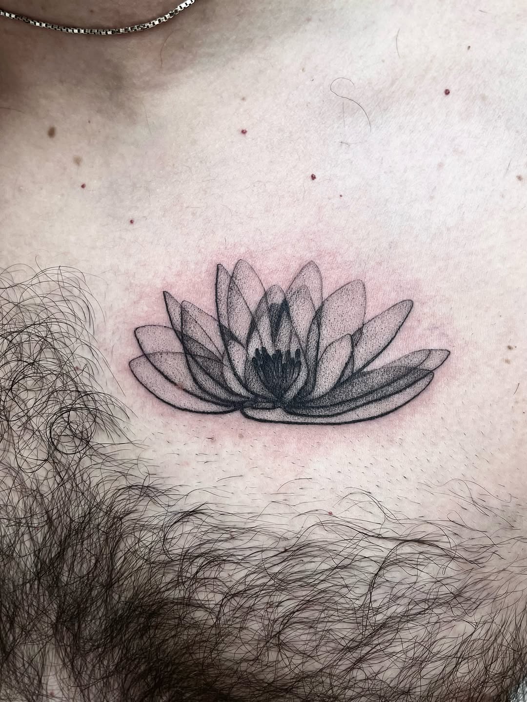 Tattoo by @lo_gwynn_ink — fine_line