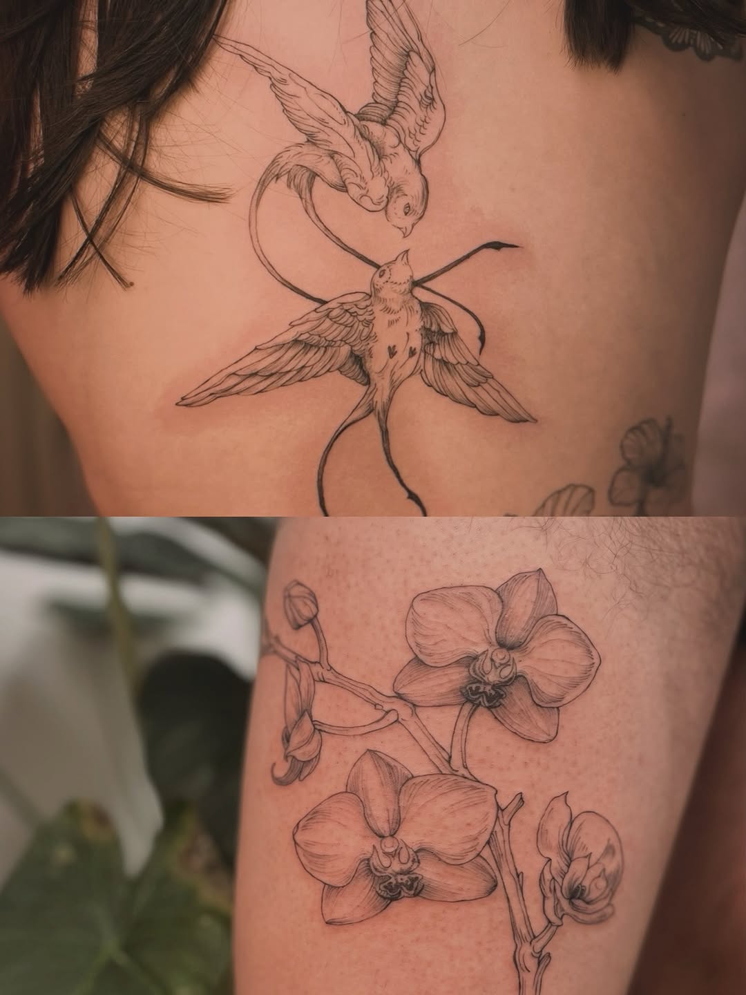 Tattoo by @crispyorchids — fine_line, illustrative
