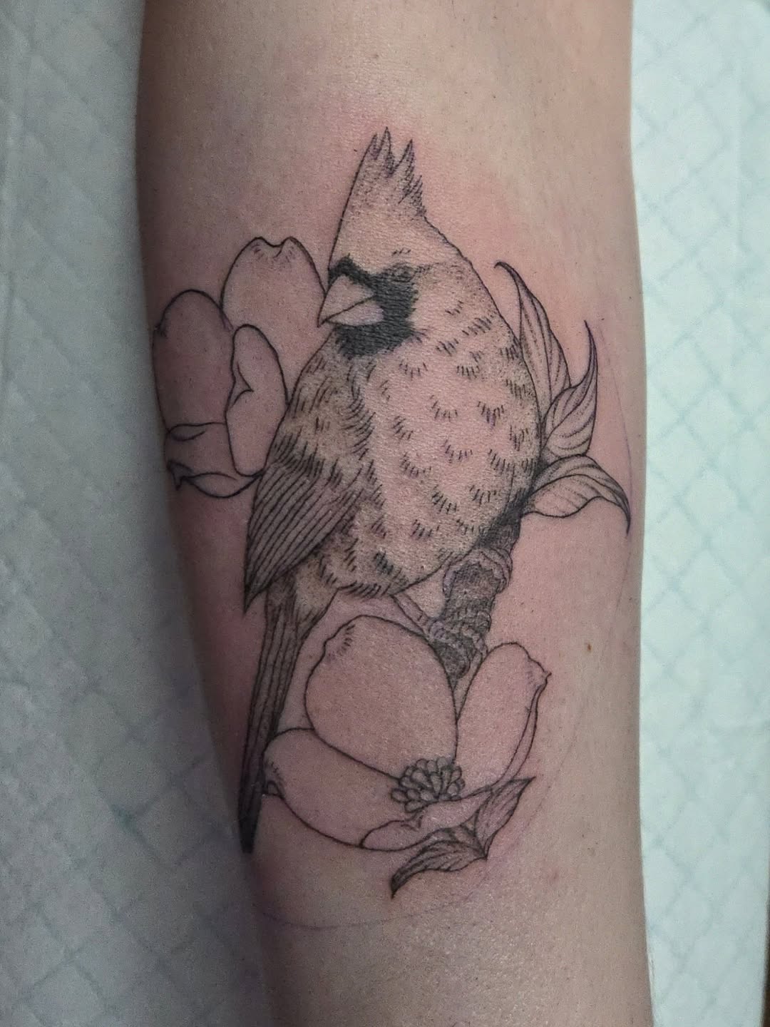 Tattoo by @birdtat — black_and_grey