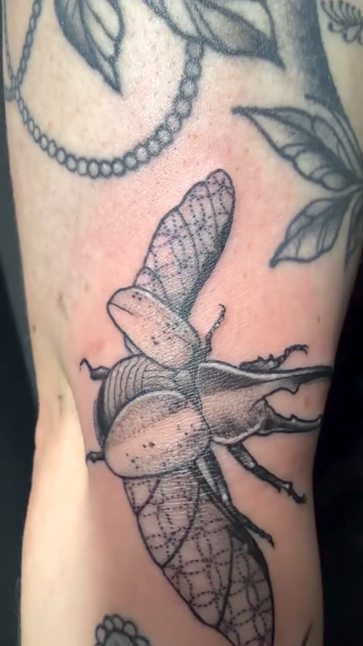 Tattoo by @emilytattoo_ — black_and_grey, realism