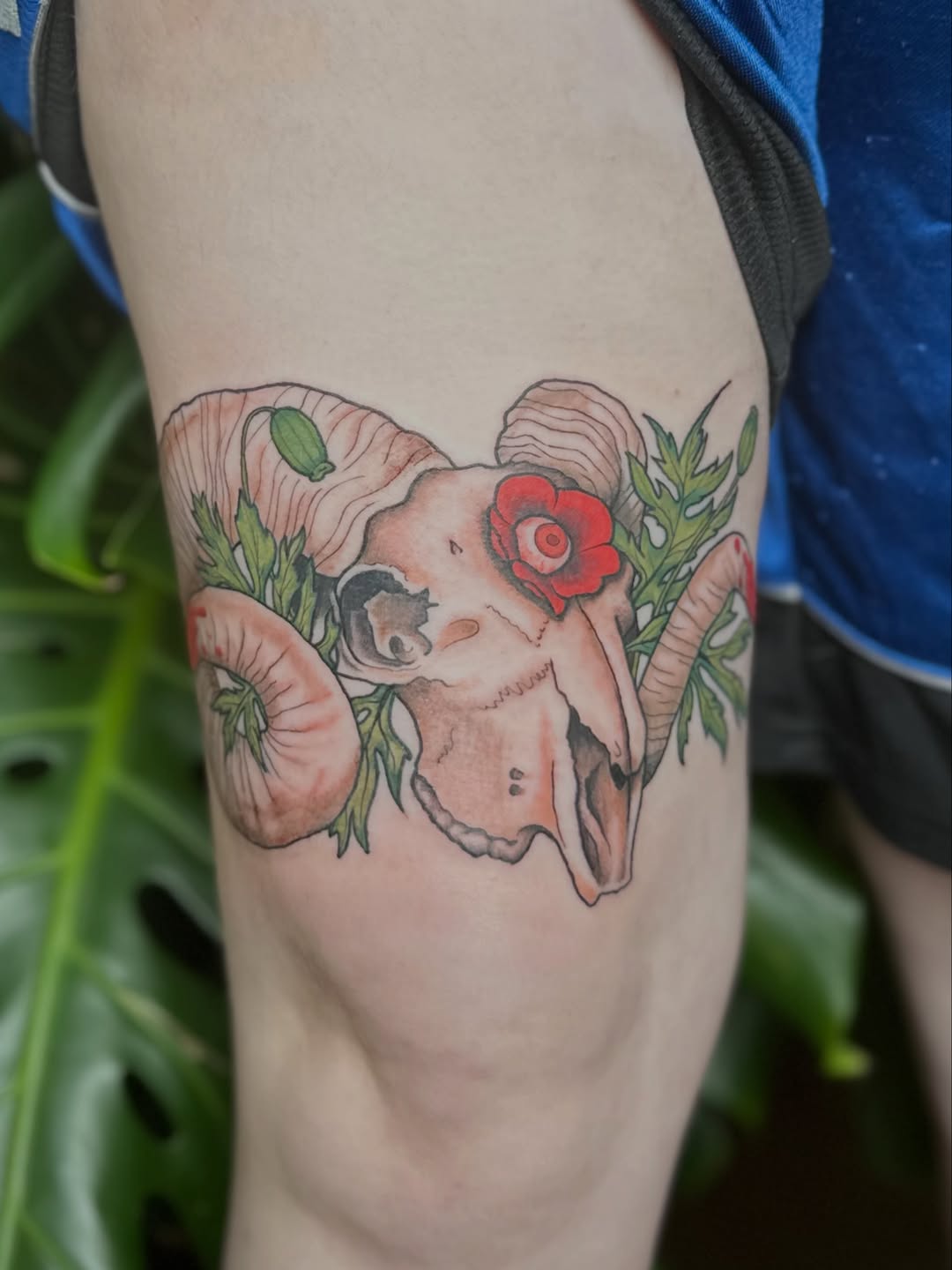 Tattoo by @sarahransom.tattoos — illustrative, realism
