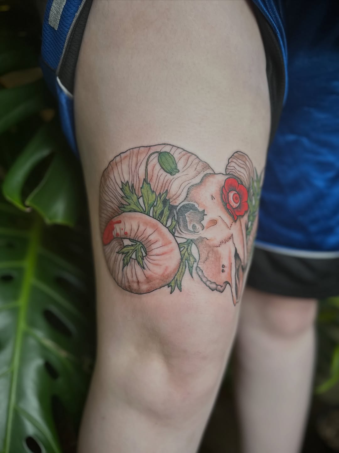 Tattoo by @sarahransom.tattoos — illustrative, realism
