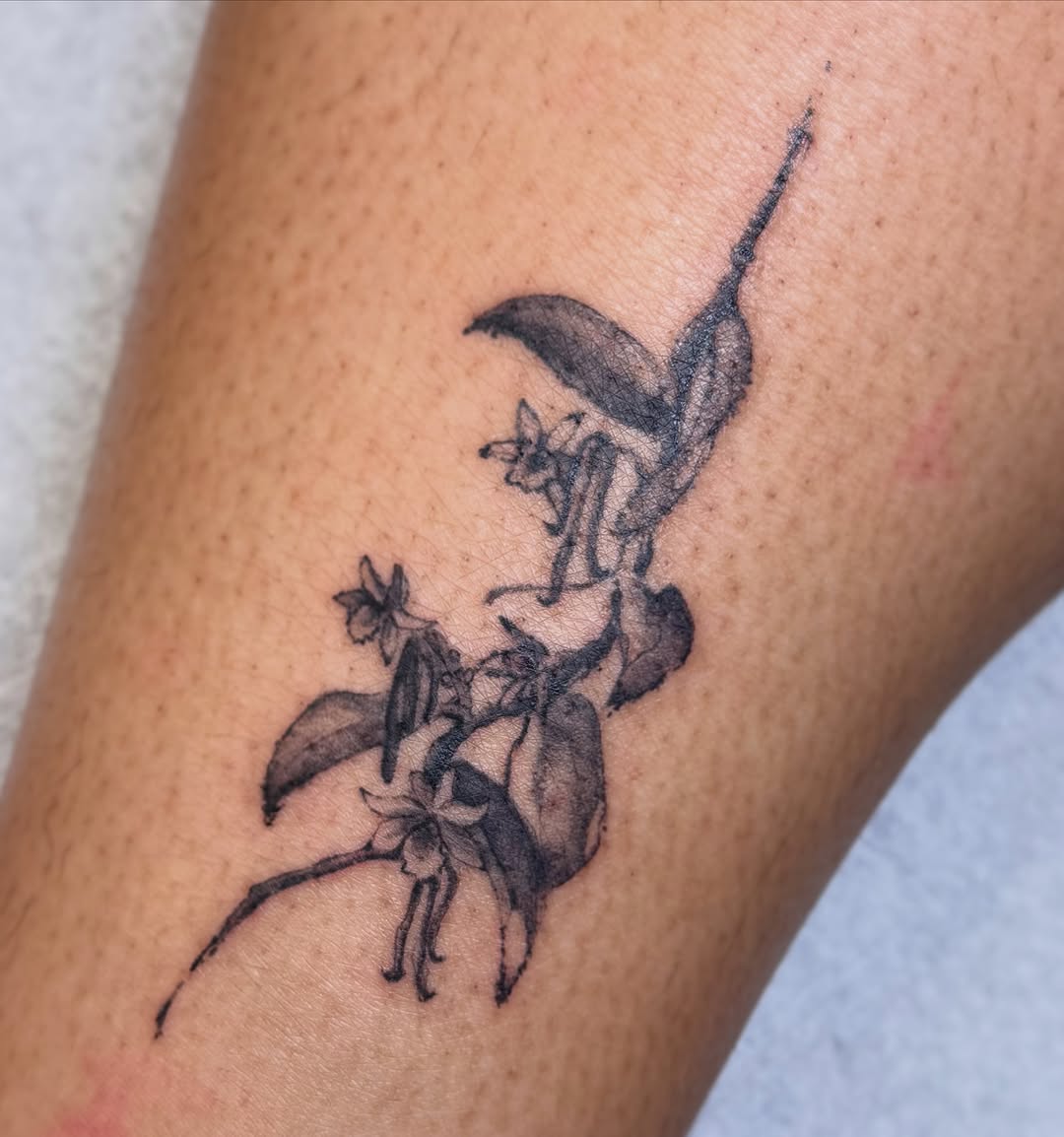 Tattoo by @xinnf_tattoo — illustrative, black_and_grey