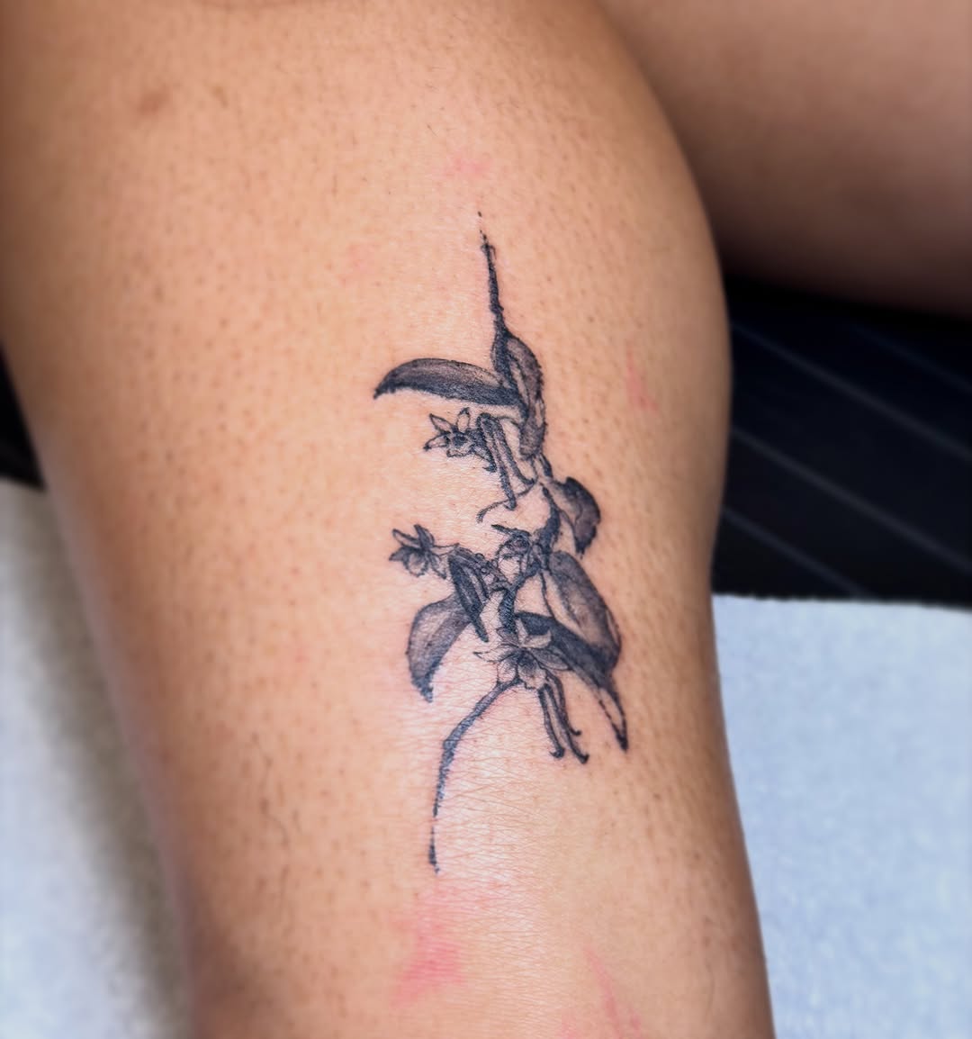 Tattoo by @xinnf_tattoo — fine_line, illustrative
