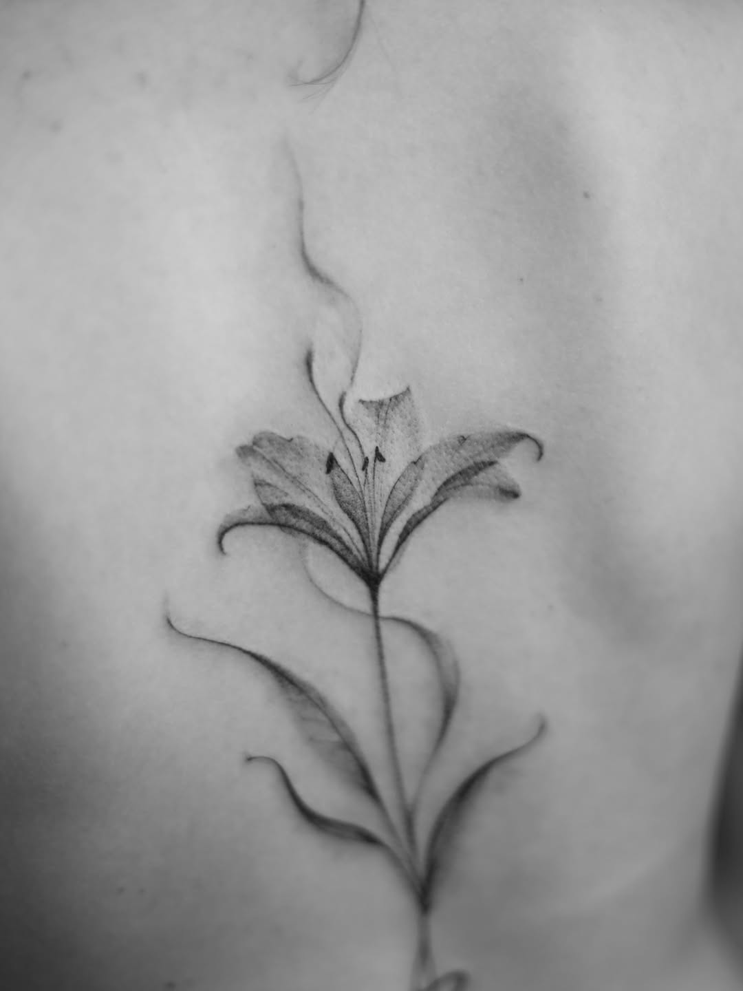 Tattoo by @ignis.tattoo.studio.kitchener โ fine_line, black_and_grey