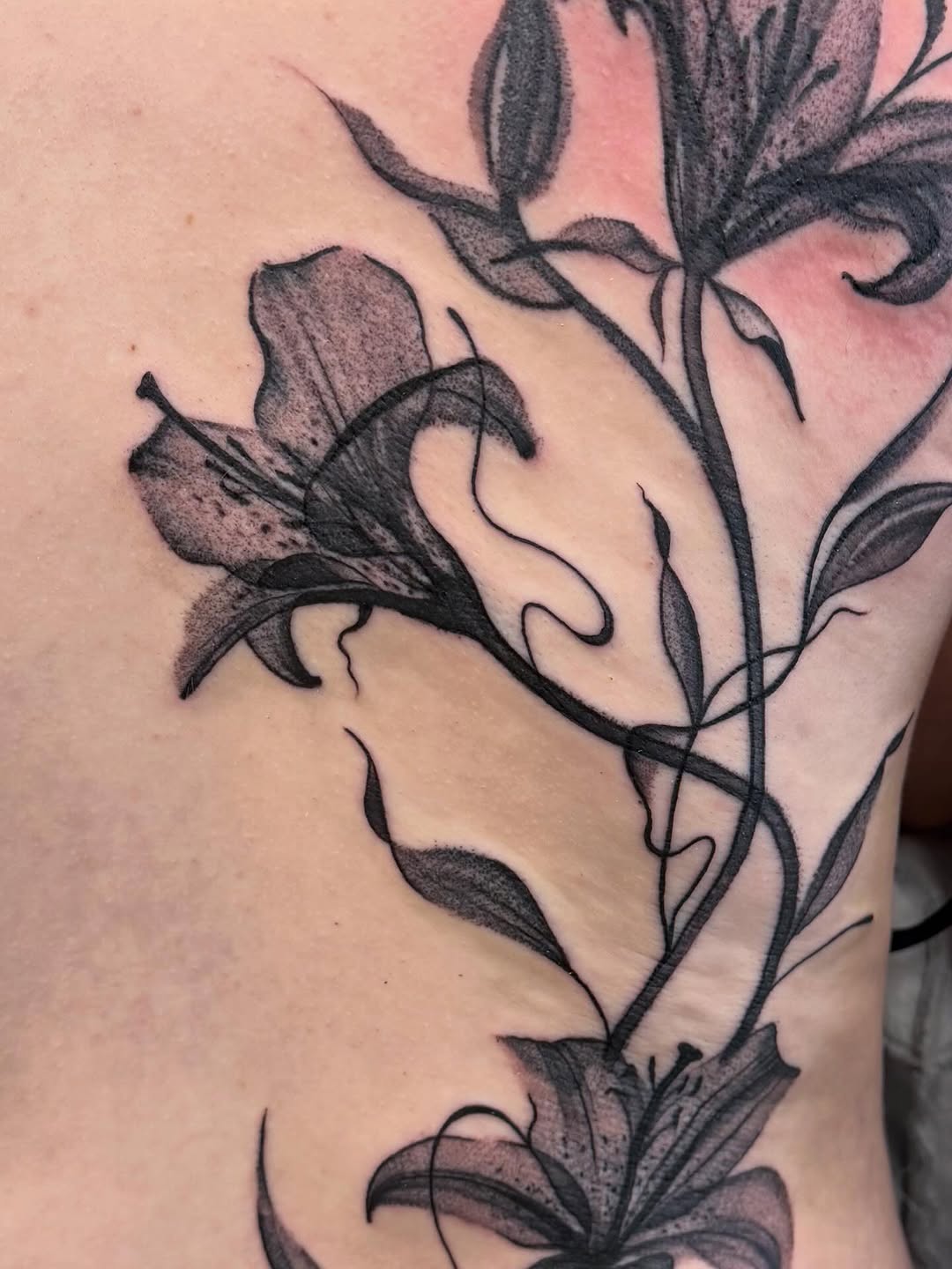 Tattoo by @debbie.does.flash โ black_and_grey, fine_line