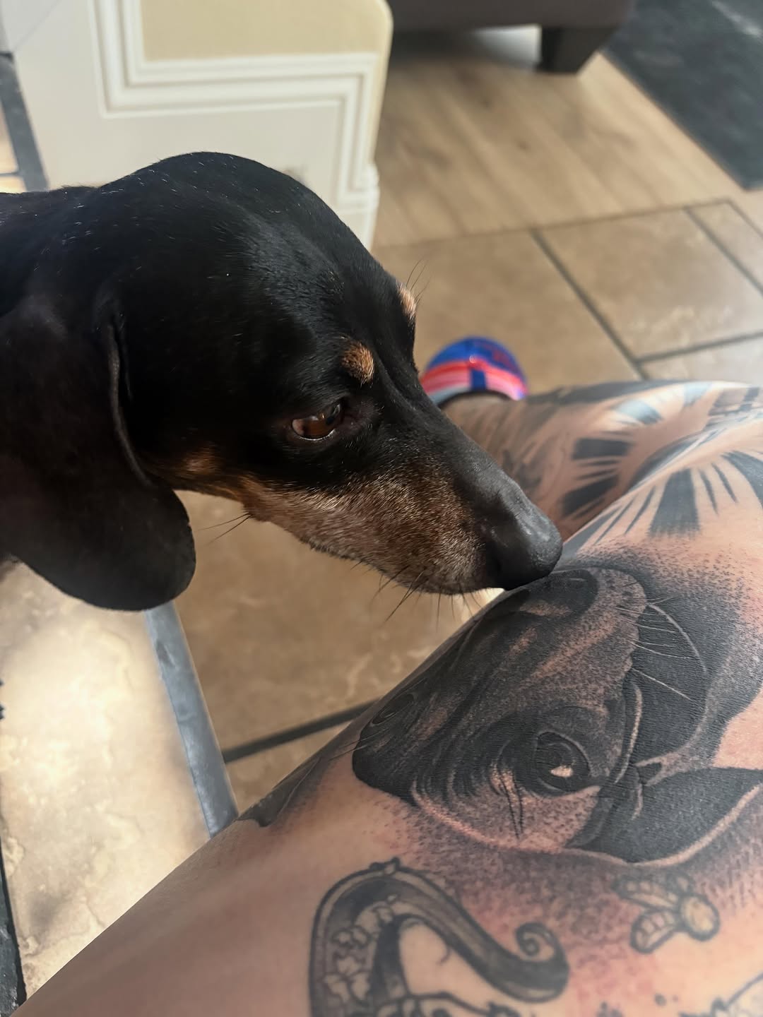 Tattoo by @inkedbysav โ realism, black_and_grey