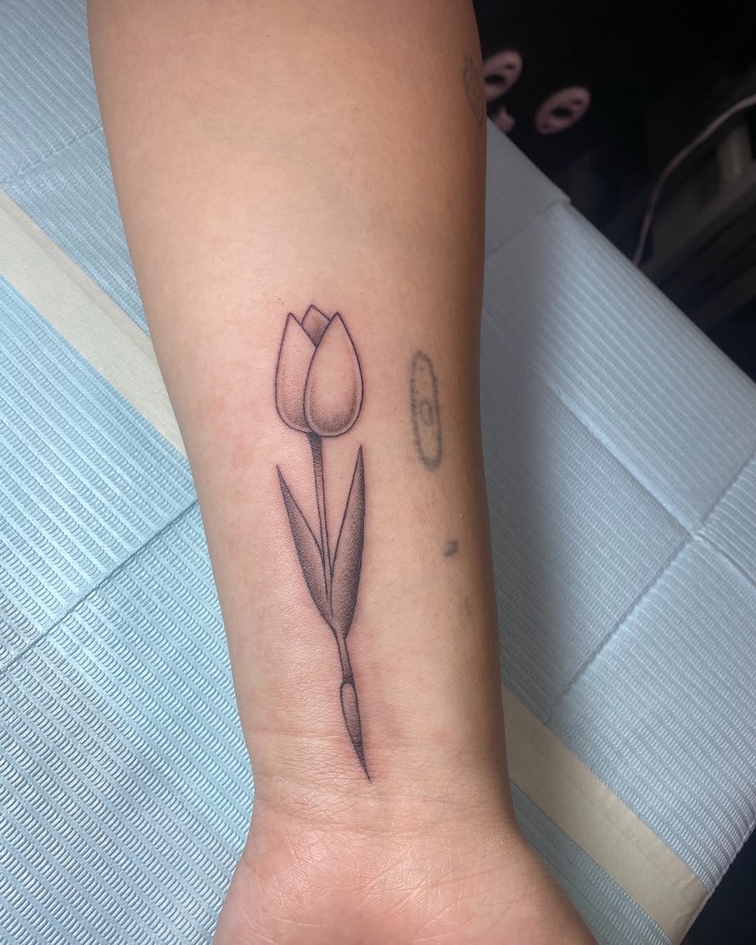 Tattoo by @ramsie_atc — fine_line, black_and_grey