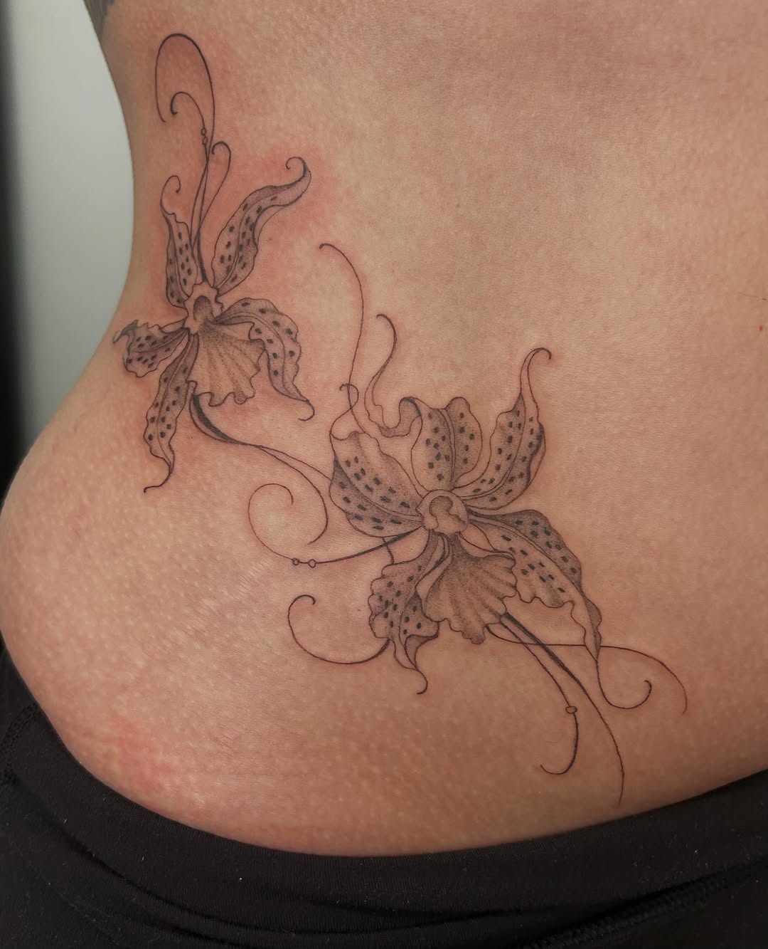 Tattoo by @oliviafoxtattoo — fine_line, illustrative