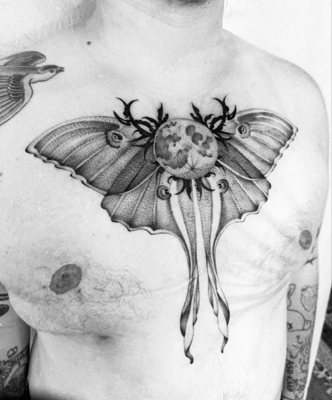 Tattoo by @polarizedbaby — dotwork, black_and_grey