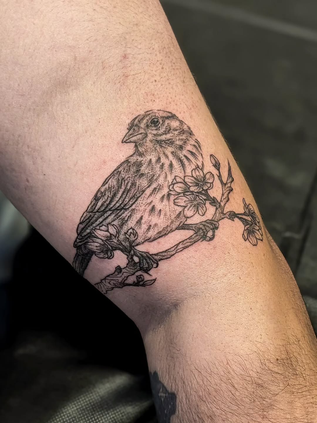 Tattoo by @feverfewtattoo — black_and_grey