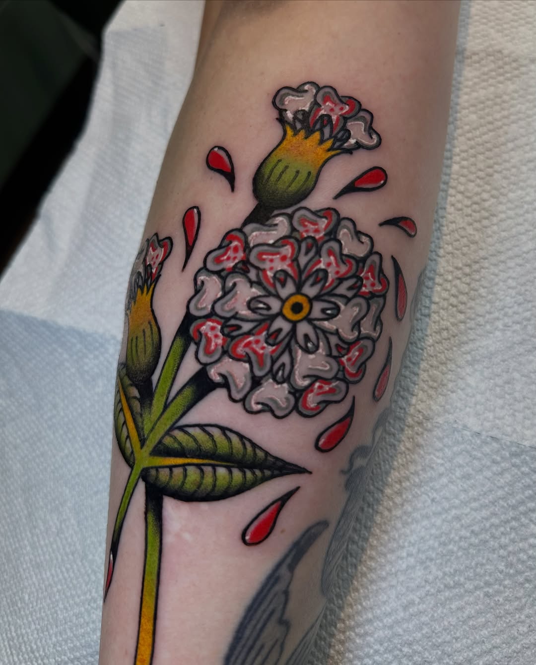 Tattoo by @weavertats โ american_traditional