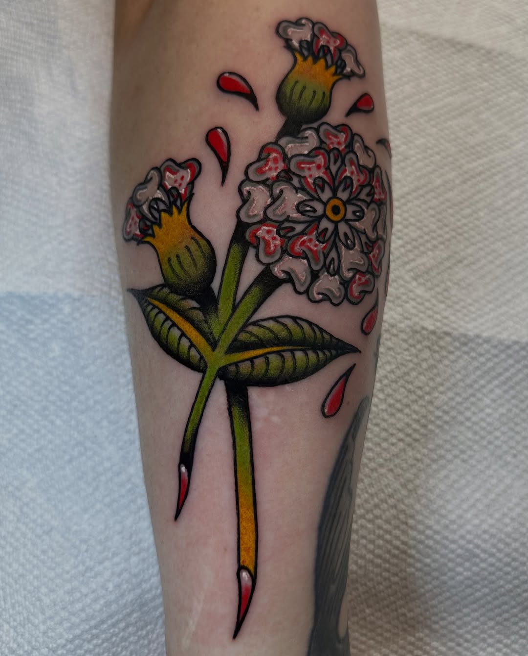 Tattoo by @weavertats โ american_traditional
