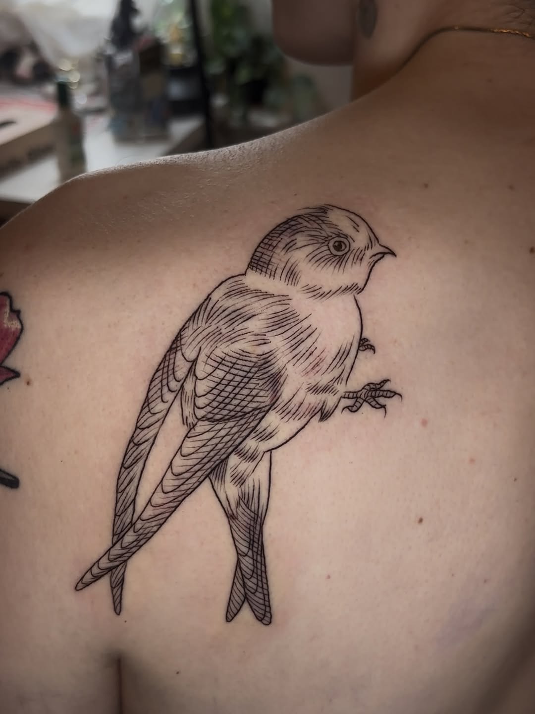 Tattoo by @maribeth.tattoo — illustrative, black_and_grey