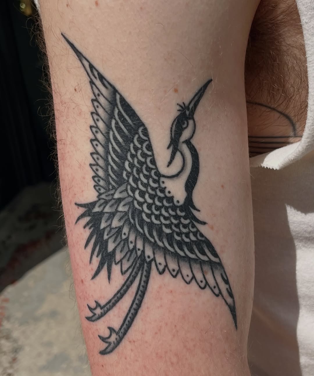 Tattoo by @sly.tri — blackwork, illustrative