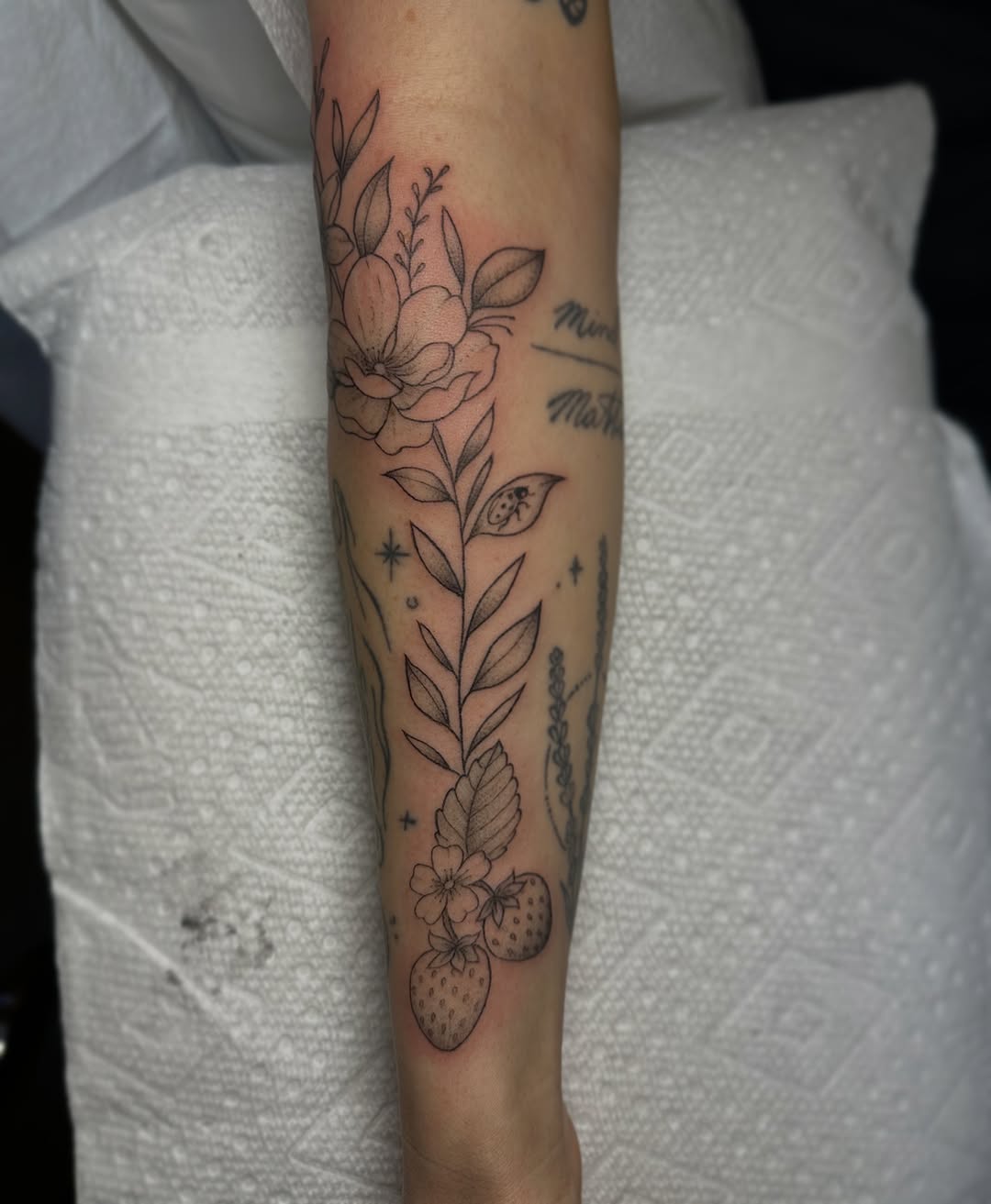 Tattoo by @lauren_delizza — fine_line, illustrative