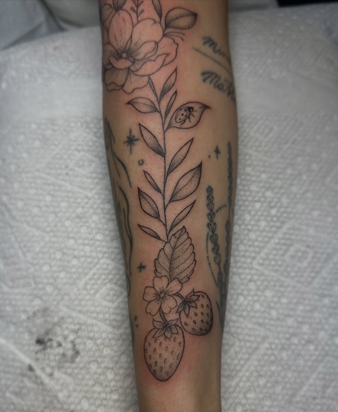 Tattoo by @lauren_delizza — fine_line, black_and_grey