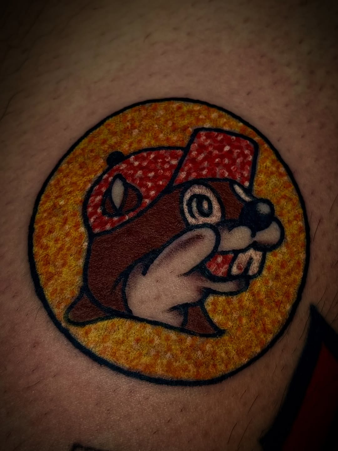 Tattoo by @zacclarktattoo — american_traditional, illustrative
