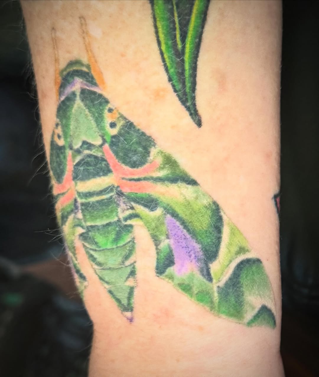 Tattoo by @starby5 — realism, color