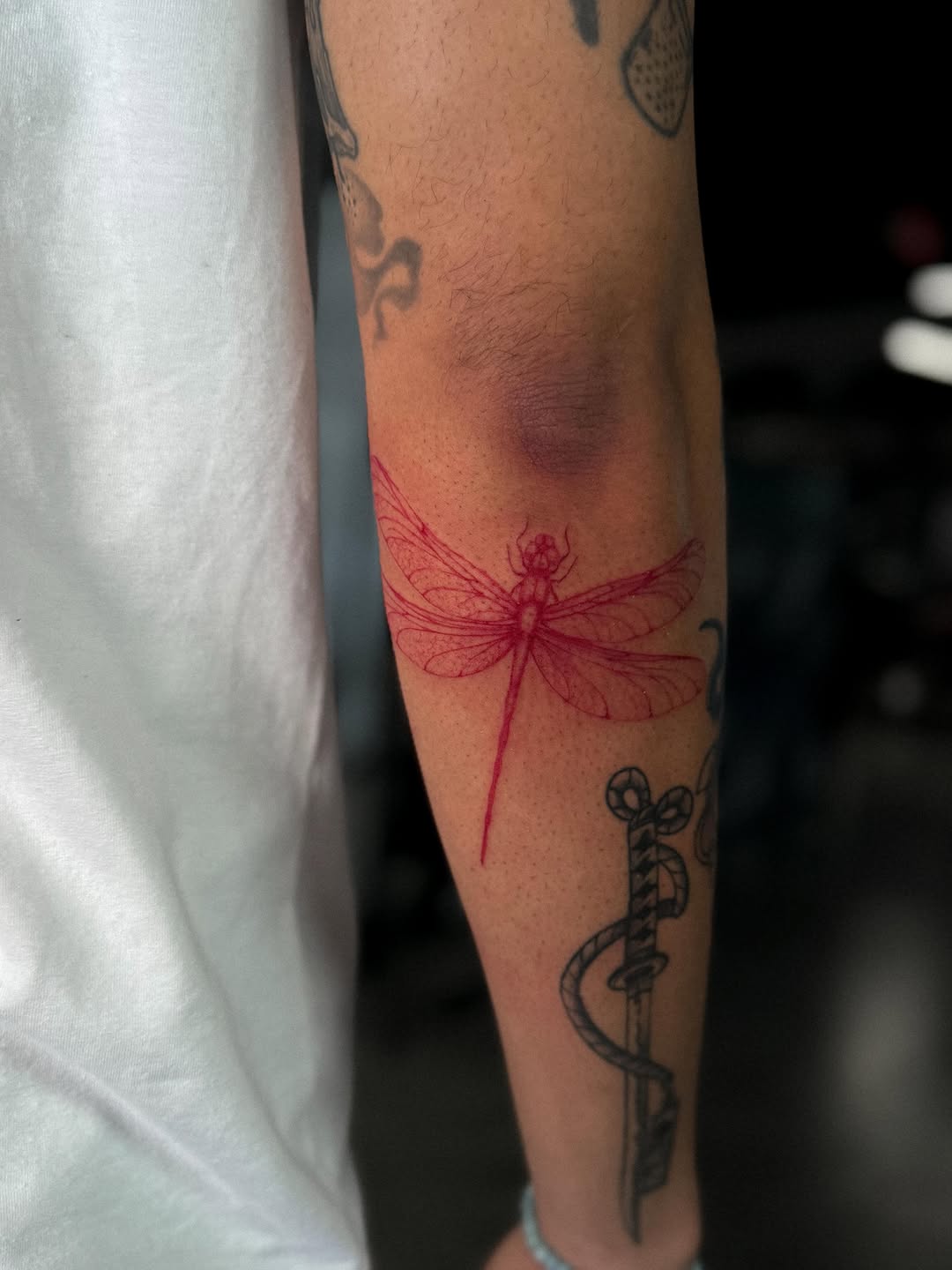 Tattoo by @iero.tattoo β fine_line, illustrative
