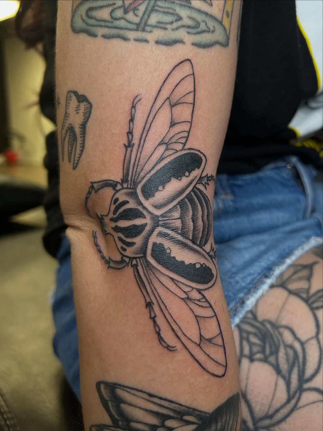 Tattoo by @nellycattattoos โ illustrative, black_and_grey