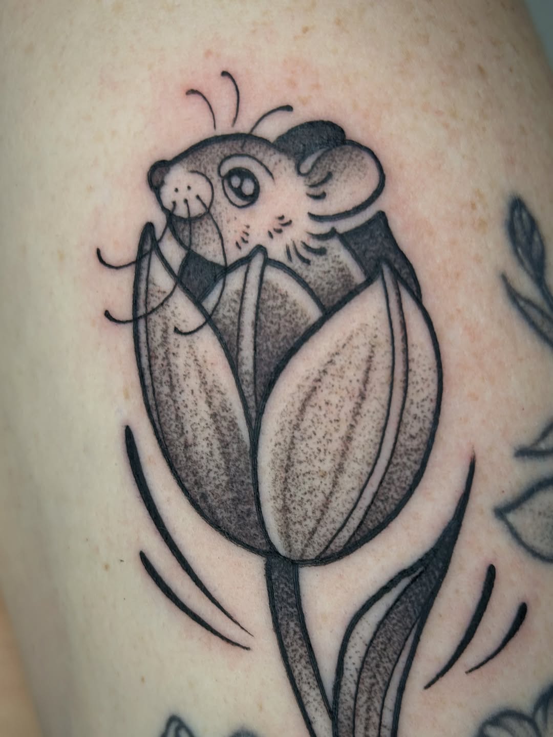 Tattoo by @cicadanymph — dotwork, black_and_grey