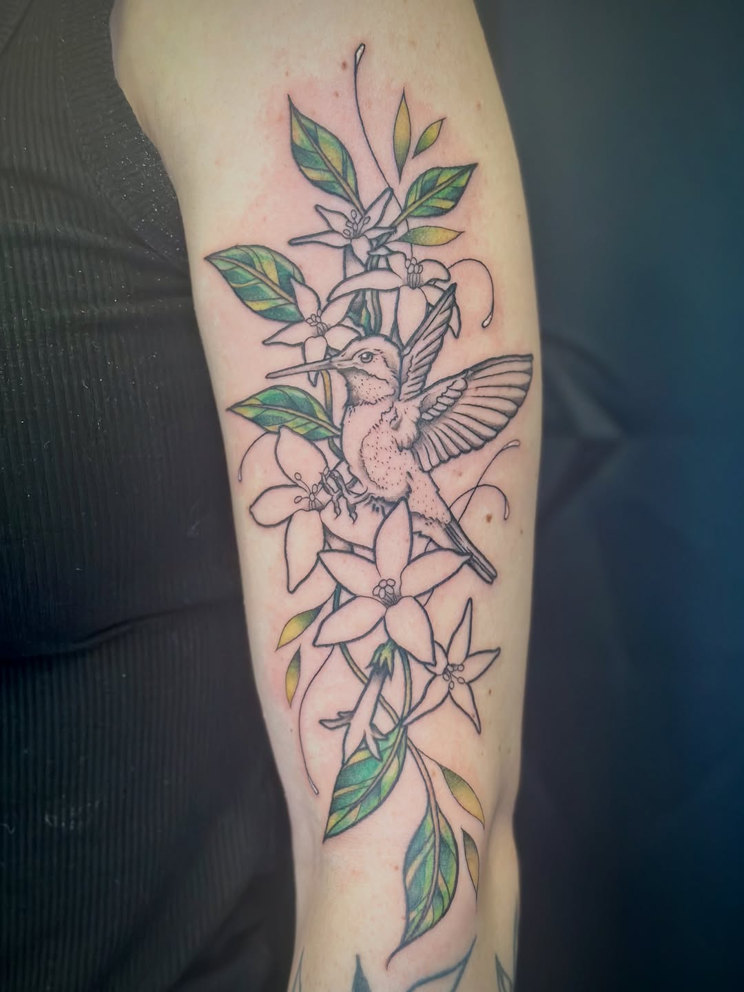 Tattoo by @maddiemorrill_art β illustrative, fine_line