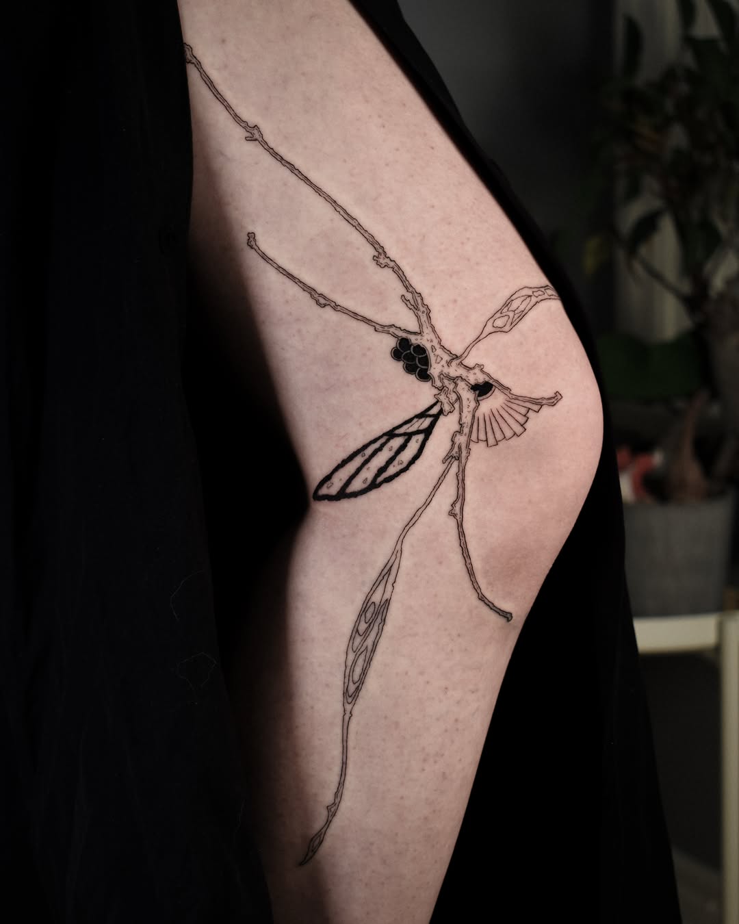 Tattoo by @purpleturtl3.ink — fine_line, illustrative