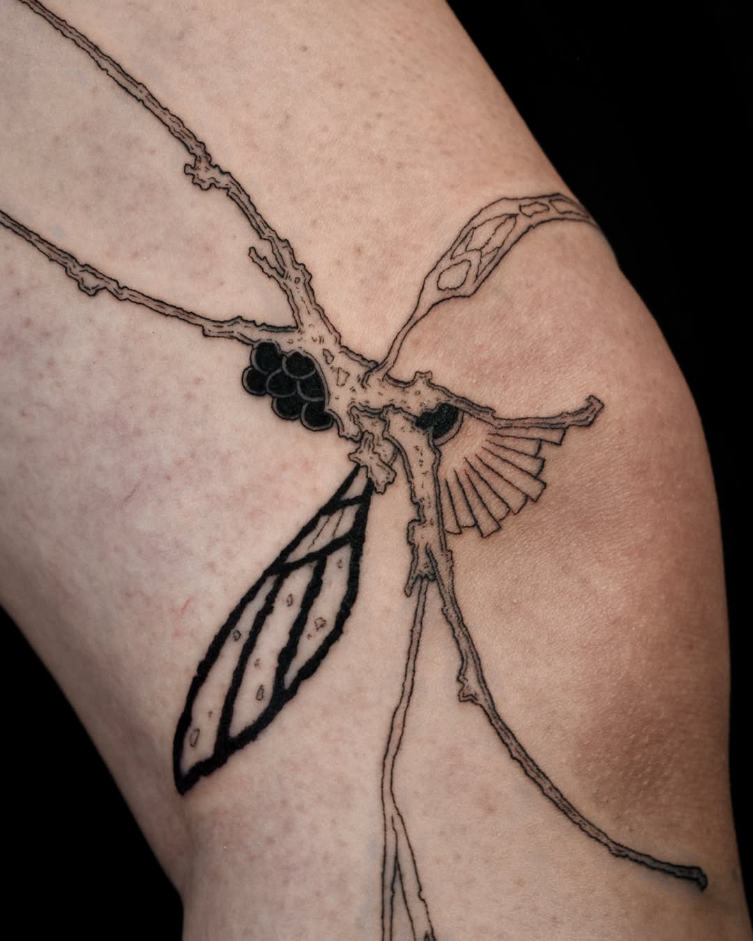 Tattoo by @purpleturtl3.ink — fine_line, illustrative