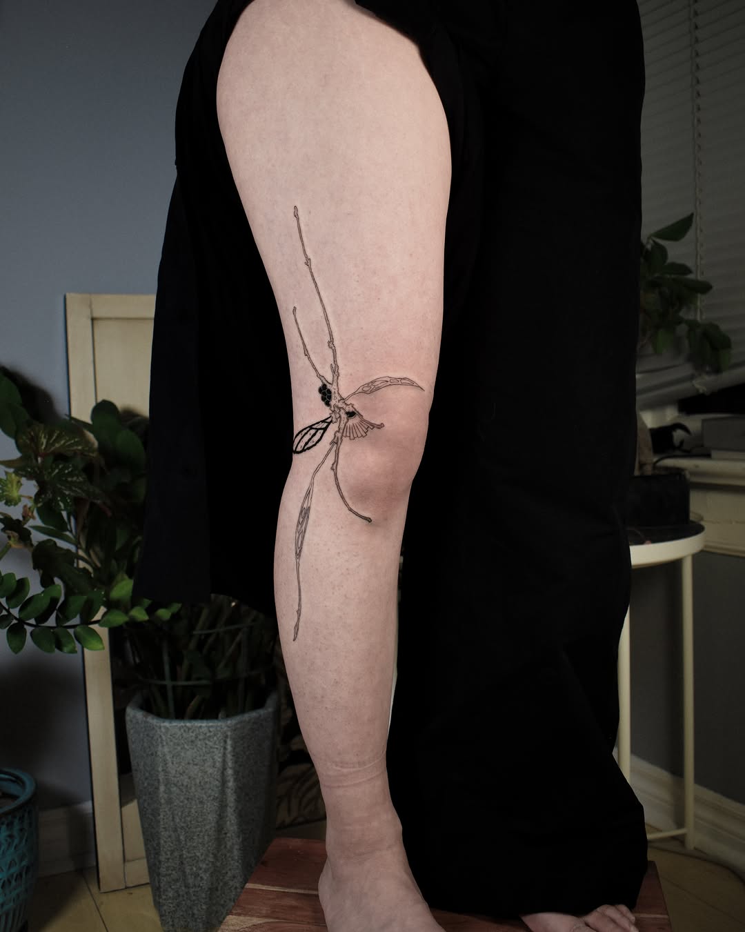 Tattoo by @purpleturtl3.ink — fine_line, illustrative