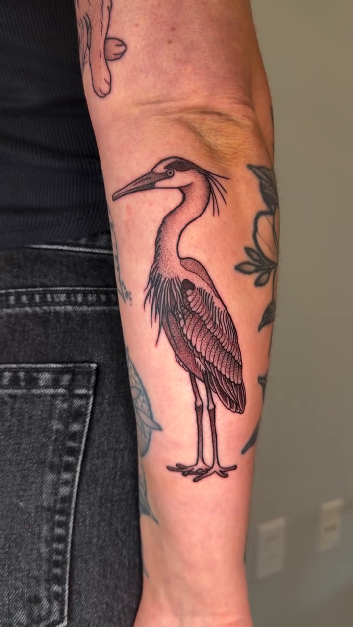 Tattoo by @katepenntattoos — fine_line, black_and_grey