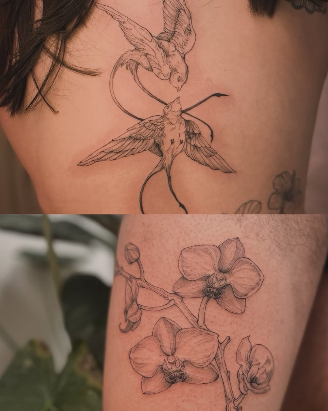 Tattoo by @crispyorchids — fine_line, illustrative