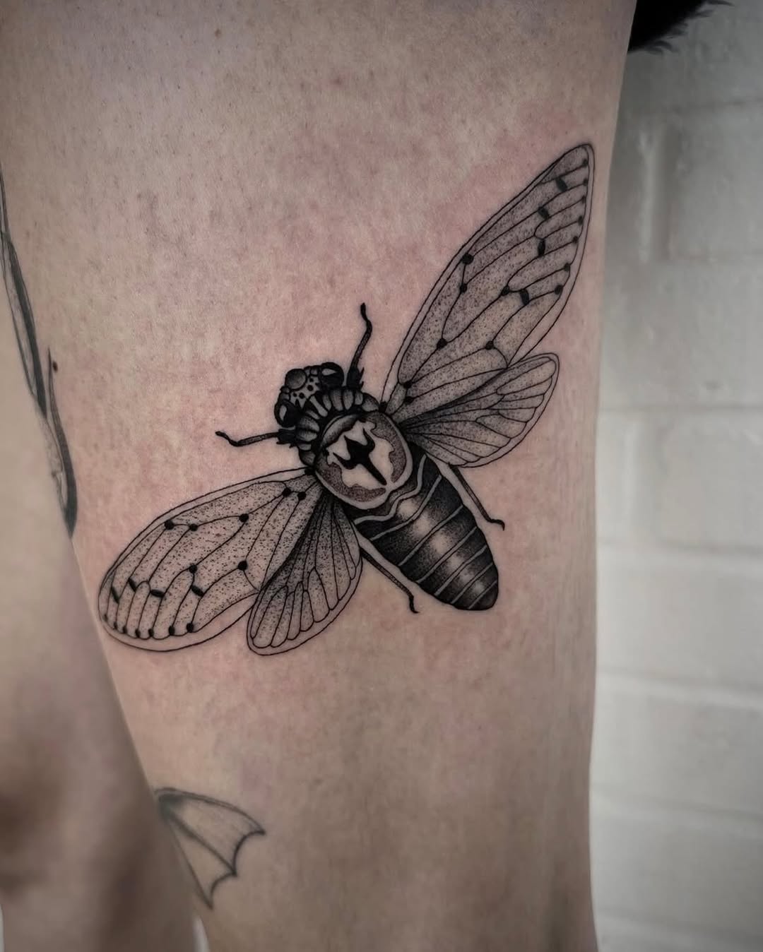 Tattoo by @vivloretattoo — black_and_grey