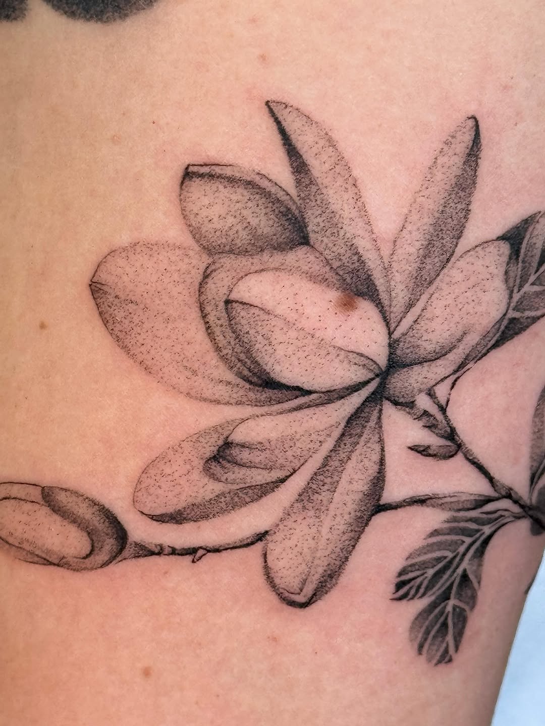 Tattoo by @_jackiesque โ black_and_grey