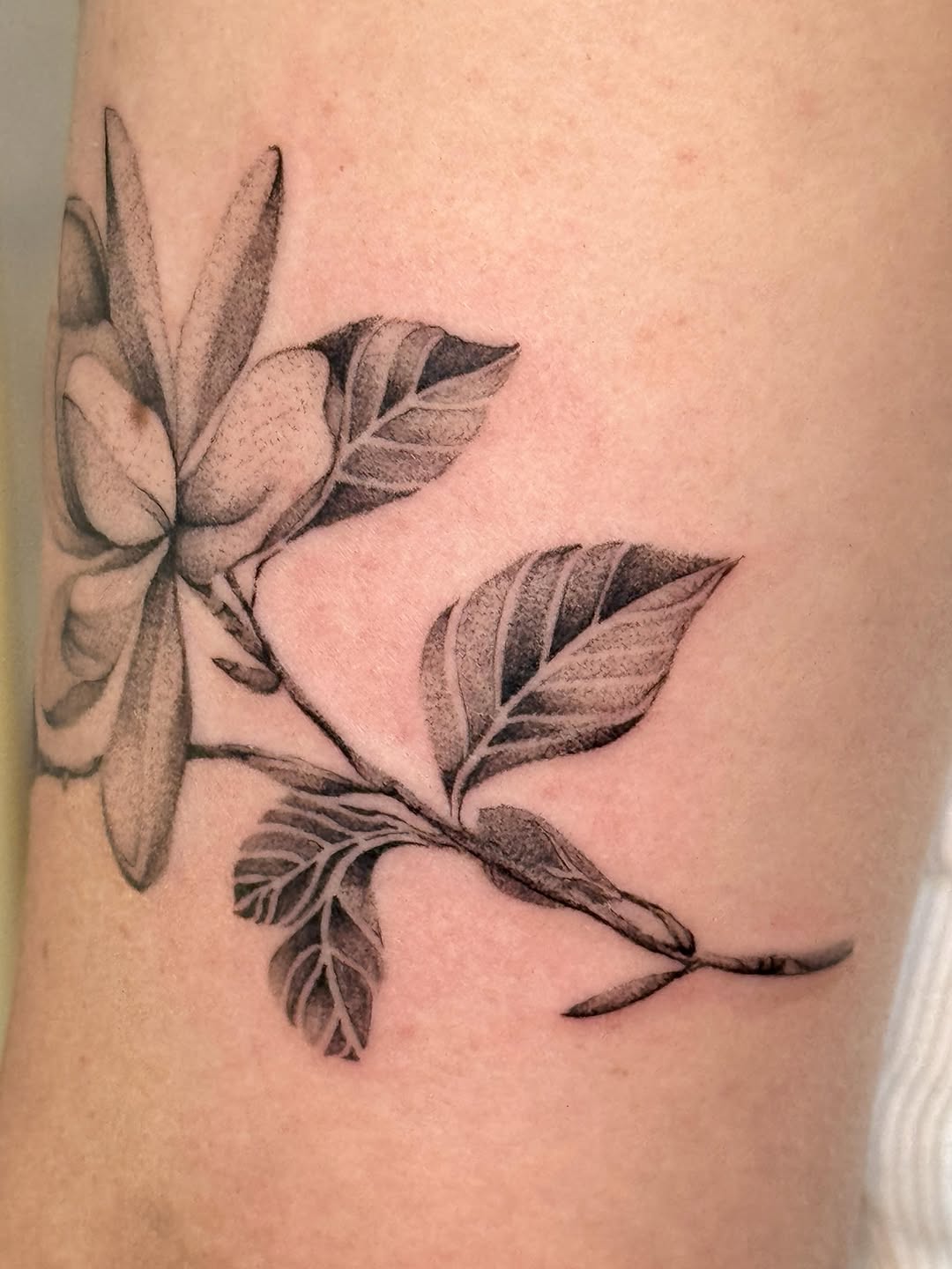 Tattoo by @_jackiesque โ black_and_grey