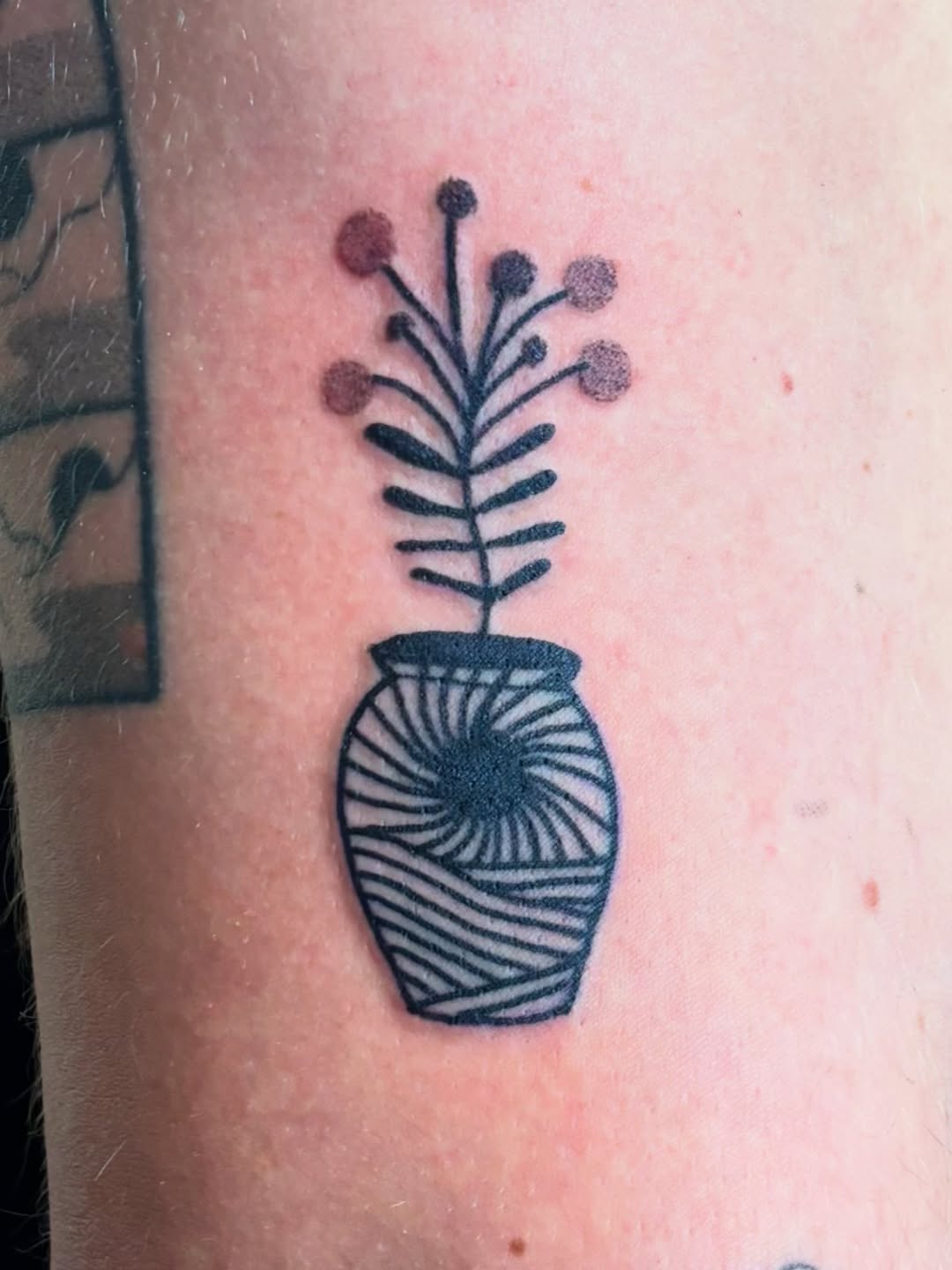 Tattoo by @plantboys.tattoo — fine_line, dotwork