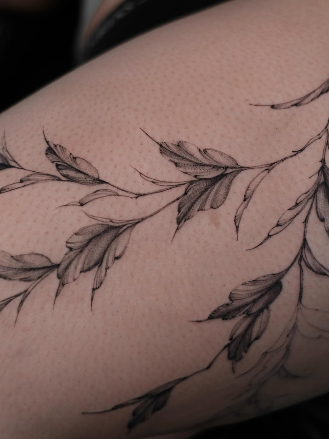 Tattoo by @tattoo.protsenko — fine_line, black_and_grey