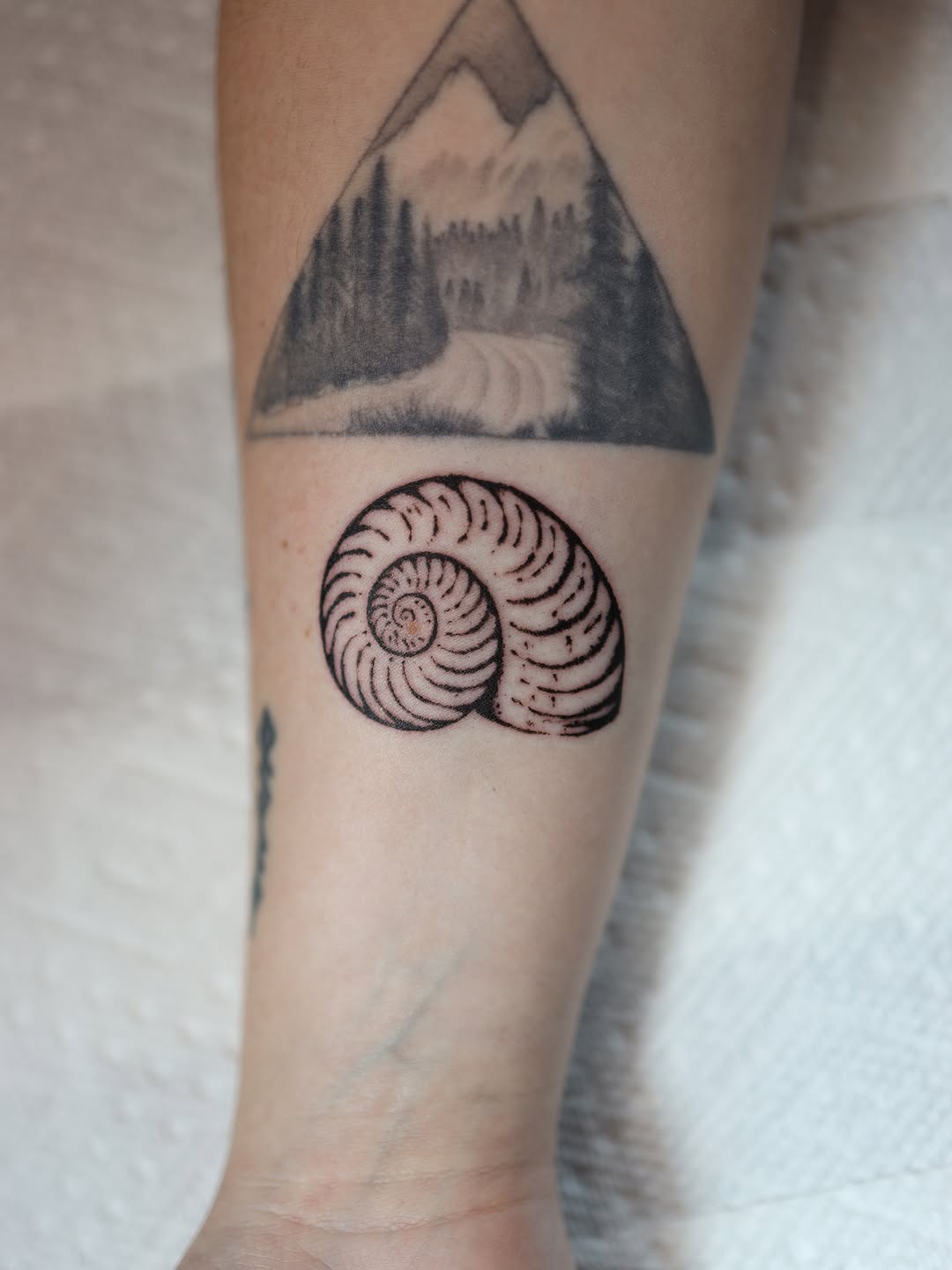Tattoo by @morganpurcey — black_and_grey